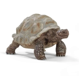 Żółw gigant - SCHLEICH