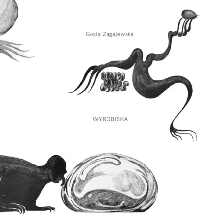 Wyrobiska - Gosia Zagajewska