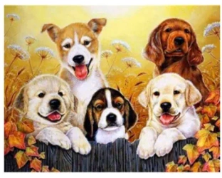 Diamentowa mozaika Pieski NO-1007426 - Norimpex