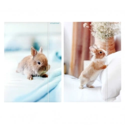 Teczka z gumką A4 Królik mix - STARPAK