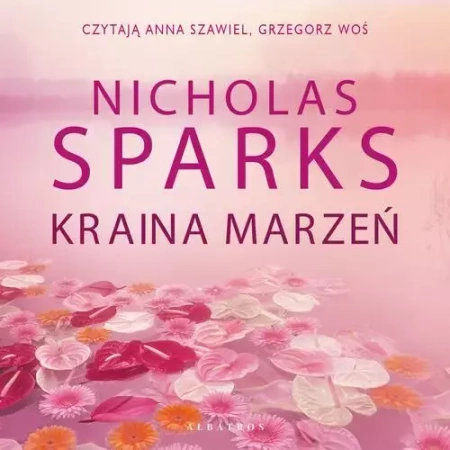 audiobook KRAINA MARZEŃ - Nicholas Sparks