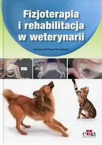 Fizjoterapia i rehabilitacja w weterynarii - Gemma del Pueyo Montesinos