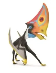 Caluajara - Collecta