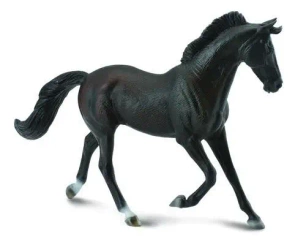 Klacz thooroughbred maści czarnej - Collecta