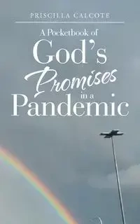 A Pocketbook of God's Promises in a Pandemic - Priscilla Calcote