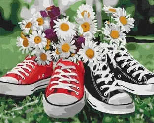 Malowanie po numerach - Niezwykłe połączenie 40x50 - Ideyka