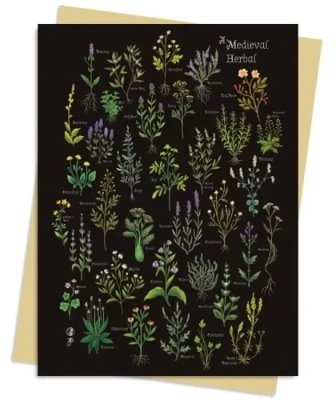 Karnet B6 Średniowieczny zielnik - Flame Tree