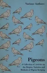 Pigeons - A Collection of Articles on the Origins, Varieties and Methods of Pigeon Keeping - Various