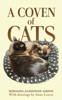 A Coven of Cats - Miranda Aldhouse-Green