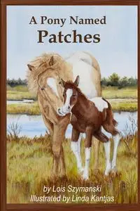 A Pony Named Patches - Lois Szymanski