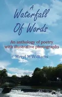 A Waterfall Of Words - Williams Meryl M