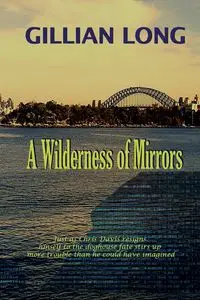 A Wilderness of Mirrors - Long Gillian