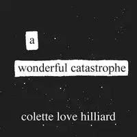 A Wonderful Catastrophe - Colette Love Hilliard