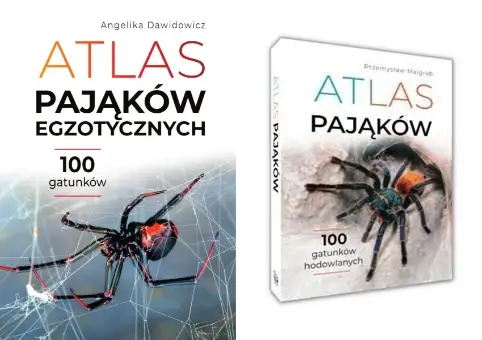 ATLAS PAJĄKÓW + ATLAS PAJĄKÓW EGZOTYCZNYCH 200 GATUNKÓW TWARDA /zestaw/ - Przemysław Malgrab