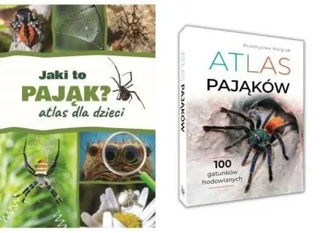 ATLAS PAJĄKÓW + JAKI TO PAJĄK ATLAS DLA DZIECI zestaw 100 gatunków pająków - Jacek Twardowski