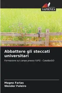 Abbattere gli steccati universitari - Farias Magno