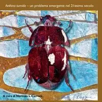 Aethina tumida - Norman Carreck L