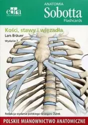 Anatomia Sobotta Flashcards Kości stawy i więzadła - Brauer Lars - pudełko kartonowe