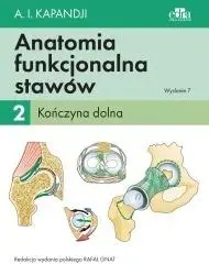 Anatomia funkcjonalna stawów Tom 2 Kończyna dolna - Kapandji I.A.