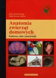 Anatomia zwierząt domowych - Erich Konig Horst, Liebich Hans-Georg
