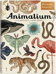 Animalium wyd.3 - Jenny Broom, Katie Scott