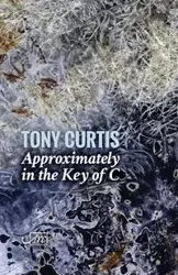 Approximately in the Key of C - Curtis Tony