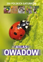 Atlas owadów (dodruk) - Kamila Twardowska, Jacek Twardowski