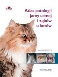 Atlas patologii jamy ustnej i zębów u kotów - J.C. Soto