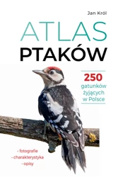 Atlas ptaków. 250 gatunków żyjących w Polsce - Jan Król