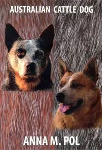 Australian Cattle Dog - Anna M. Pol