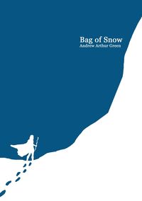 Bag of Snow - Andrew Arthur Green