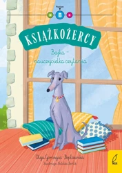 Bajka - nauczycielka czytania. Książkożercy. Poziom B - Olga Gorczyca-Popławska