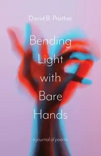 Bending Light with Bare Hands - David B. Prather