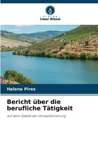 Bericht über die berufliche Tätigkeit - Helena Pires