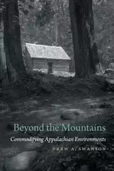 Beyond the Mountains - Drew A. Swanson