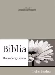 Biblia Boża droga życia - Stephen Matthew