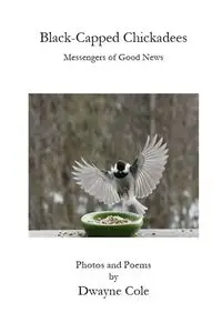 Black-Capped Chickadees - Cole Dwayne