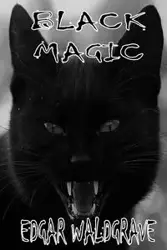 Black Magic - The Witch Chronicles - Rise Of The Dark Witch High King - Book Two - Edgar Waldgrave