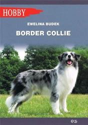 Border Collie w.2020 - Ewelina Budek