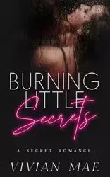 Burning Little Secrets - Mae Vivian