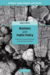 Business and Public Policy - Jorge E. Rivera