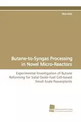 Butane-To-Syngas Processing in Novel Micro-Reactors - Hotz Nico