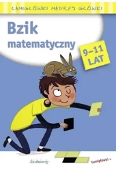 Bzik matematyczny. Łamigłówki mądrej główki - Roger Rougier