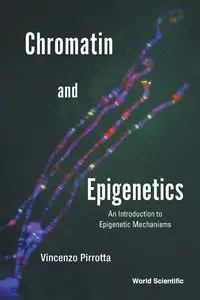 CHROMATIN AND EPIGENETICS - VINCENZO PIRROTTA