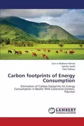 Carbon Footprints of Energy Consumption - Noman Durr-E-Shahwar