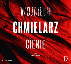 Cienie audiobook - Wojciech Chmielarz