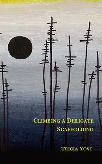 Climbing a Delicate Scaffolding - Tricia Yost