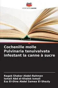 Cochenille molle Pulvinaria tenuivalvata infestant la canne à sucre - Shaker Abdel-Rahman Ragab