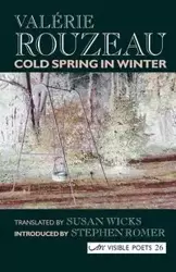 Cold Spring in Winter - Valerie Rouzeau