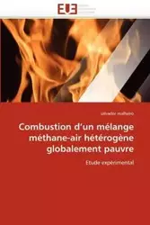 Combustion d''un mélange méthane-air hétérogène globalement pauvre - MALHEIRO-s